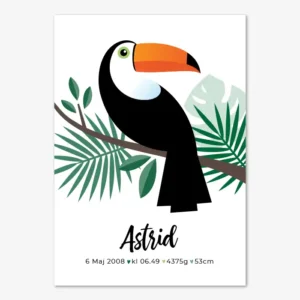 Personlig födelsetavla med tukan på en gren i djungeln